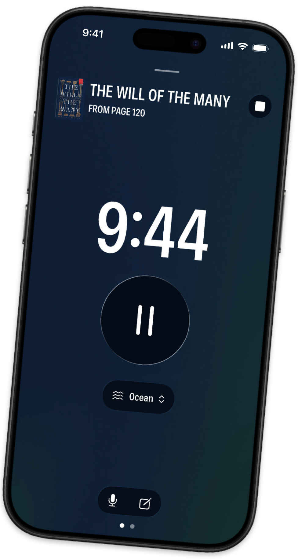 Drawing of two brown ducks next to a black and white duck (labrador duck) in a frame, slightly titled.